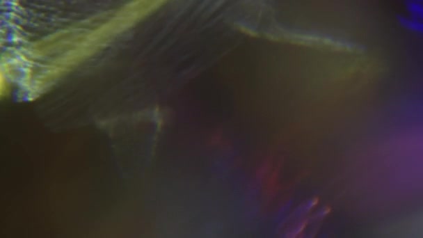 Festlig holografisk lins blossar. Naturligt ljus metamorfoser. Ljuspulser kaotiskt. — Stockvideo