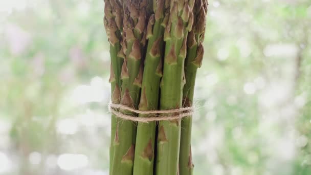 Pan shot van een verse groene asperges van een biologische boerderij. — Stockvideo