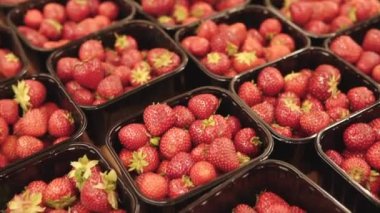 Süpermarketlerin raflarında taze taze organik çilekler var..