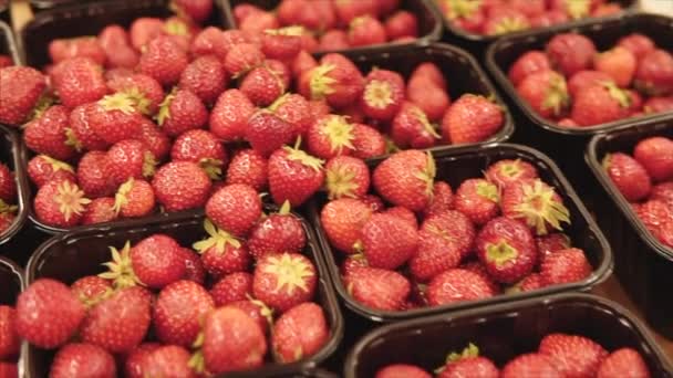 Fresas orgánicas frescas en los estantes del departamento de supermercados . — Vídeo de stock