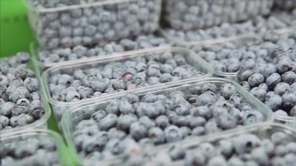 Bleuets à vendre sur les étagères du département d'épicerie des supermarchés locaux. — Video