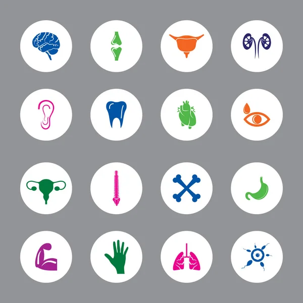 Conjuntos Iconos Diseño Redondo Infografía Partes Del Cuerpo Humano Para — Vector de stock