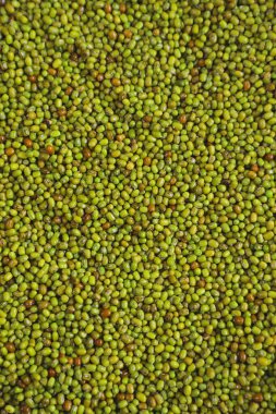 Mung fasulyesi, yeşil moong dal .