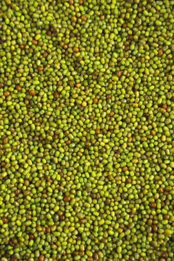 Mung fasulyesi, yeşil moong dal .