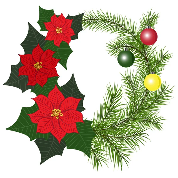Corona de Navidad de las ramas del árbol de Navidad y flores poinsettia. Ilustración vectorial . — Vector de stock