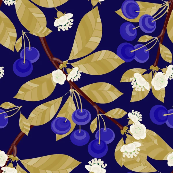 Motif sans couture, floral des branches de cerise avec des fleurs et des baies . — Image vectorielle