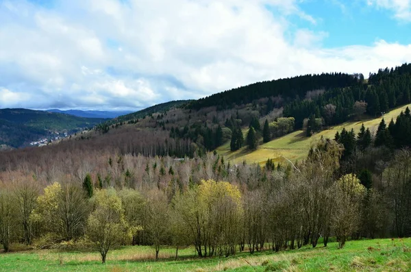 Met Het Oog Het Landschap Van Lente Het Ertsgebergte — Stockfoto