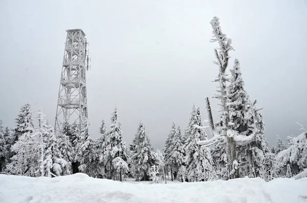 Winterlandschap Het Ertsgebergte Klinovec Tsjechië — Stockfoto