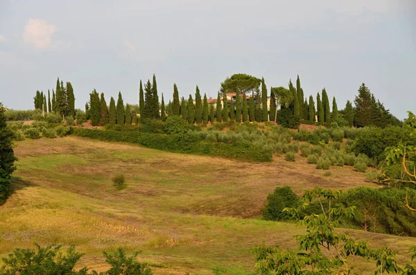 Uitzicht Het Toscaanse Platteland Met Historische Gebouwen Italië — Stockfoto