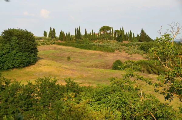 Uitzicht Het Toscaanse Platteland Met Historische Gebouwen Italië — Stockfoto