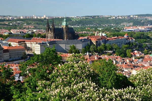 Vista Capital Praga Desde Torre Vigilancia Petrin Praguerepública Checa — Foto de Stock