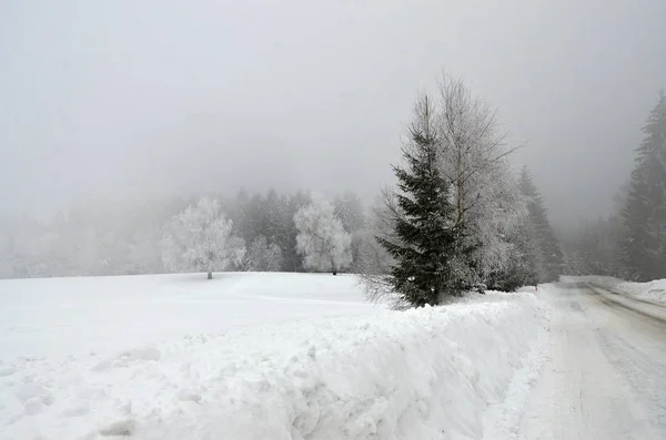 Besneeuwde Landschap Het Ertsgebergte Klinovec Tsjechië — Stockfoto