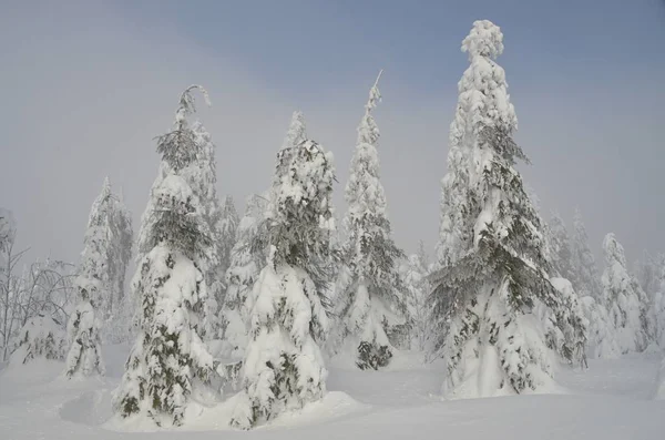 Paisaje Nevado Las Montañas Mineral Klinovec República Checa — Foto de Stock