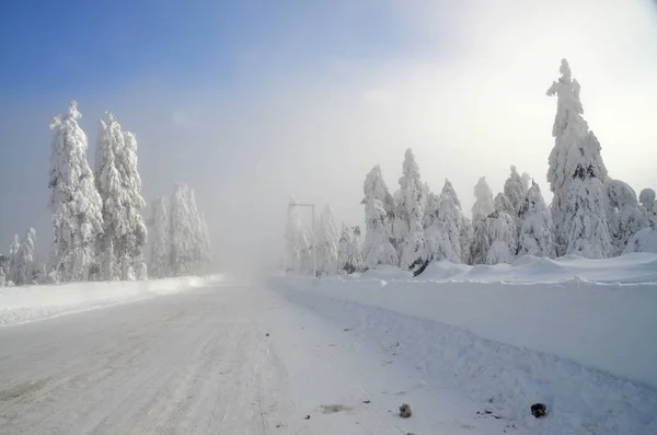 Snowy Landscape Ore Mountains Klinovec Czech Republic — Stock Photo, Image