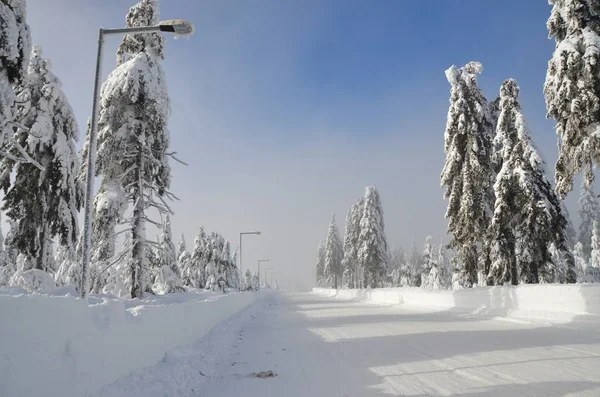 Besneeuwde Landschap Het Ertsgebergte Klinovec Tsjechië — Stockfoto