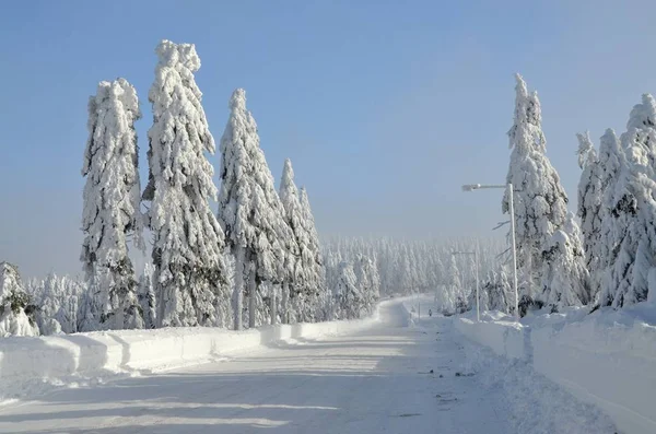 Besneeuwde Landschap Het Ertsgebergte Klinovec Tsjechië — Stockfoto