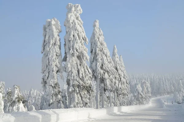 Snowy Landscape Ore Mountains Klinovec Czech Republic — Stock Photo, Image