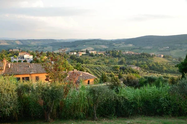 Vista Paisagem Toscana Perto San Gimignano Vinhas Vinho Uva — Fotografia de Stock