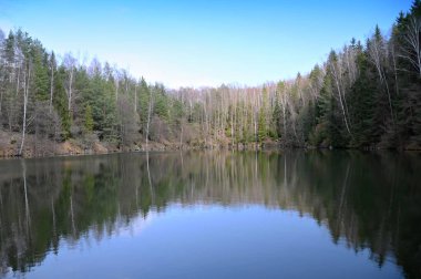 ormanın ortasında küçük bir göl
