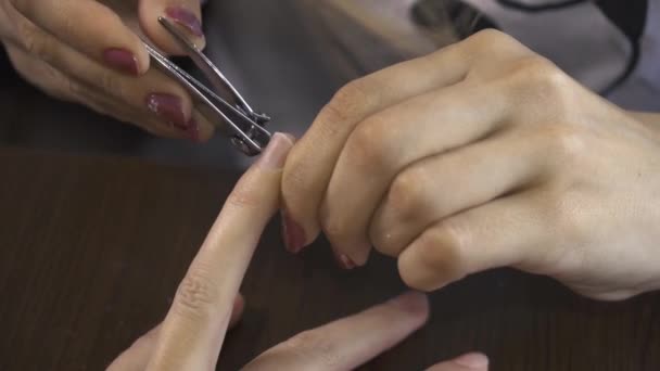 Closeup Tiro Esteticista Aplicando Esmalte Unha Para Unha Feminina Siga — Vídeo de Stock