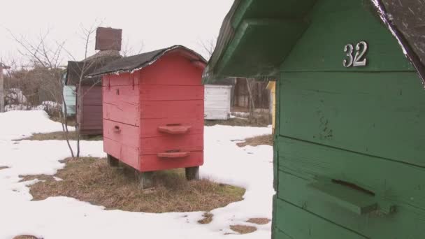 Reihen bunter Bienenstöcke im Winter mit Schnee bedeckt — Stockvideo