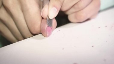 Manikür. Close. Eski ojeyi çıkarın. Çividen kırmızı vernik çıkarılması.