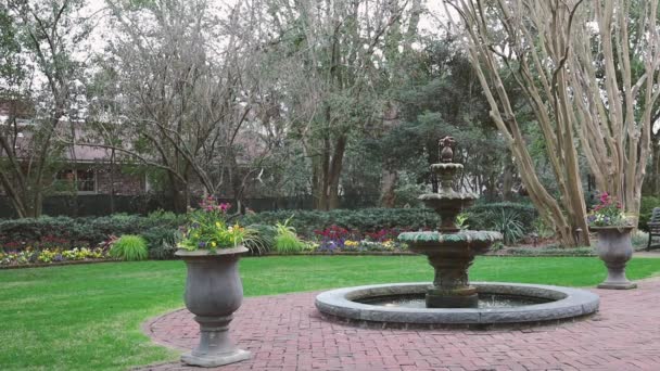 Fontein Park — Stockvideo