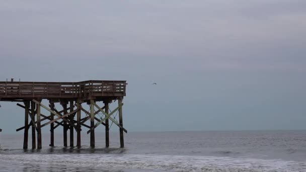 Static Medium Shot End Wooden Pier Out Ocean — Stock Video