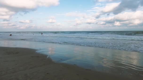 Güneş Ufukta Batarken Dalgalar Yavaşça Kumlu Bir Sahile Çarpıyor — Stok video