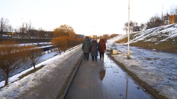 Mujeres mayores caminando por la carretera de la ciudad en la temporada de invierno. 4k — Vídeo de stock