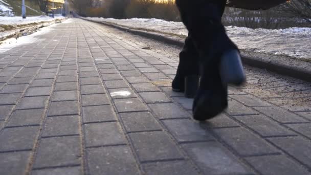 Χαμηλή γωνία των υψηλών μπότες μόδα τακούνια με το κορίτσι που περπατάει κατά μήκος προβλήτα δίπλα όμορφη λίμνη το χειμώνα. 4K — Αρχείο Βίντεο