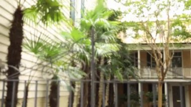 Odak noktasının yeşil yapraklardan çitlere ve insanların evlerine geçişi.