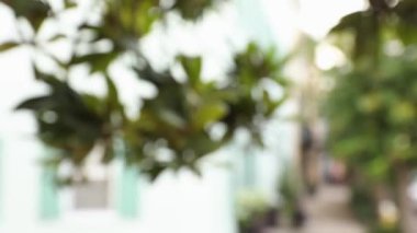 Odak noktasının yeşil yapraklardan çitlere ve insanların evlerine geçişi.