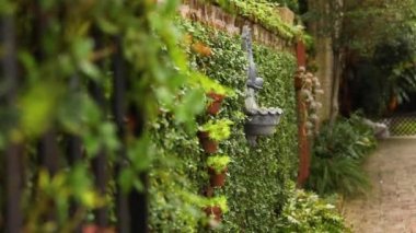 Sokaktaki parkta çok güzel bitkiler var. Odağı izle..