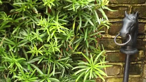 Statue à tête de cheval silhouettée par le soleil et les arbres. Tête de cheval en métal sur fond d'un mur de brique en pierre.