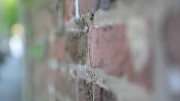 Tuğla Duvarda Ağır Çekimde Yakın Çekimde Doldurulmuş Dikişler Var Duvarda — Stok video