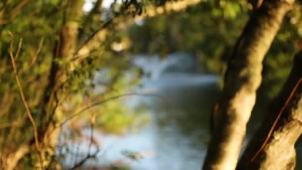 Фрагмент Озера Національному Парку Красивий Пейзаж Водяним Фонтаном Качками Ставку — стокове відео