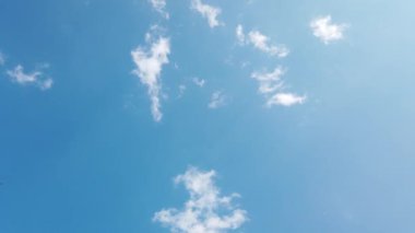 Martı gökyüzünde süzülüyor mavi gökyüzüne karşı