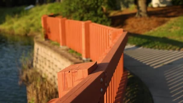 Ponte Legno Sul Fiume Nel Parco — Video Stock