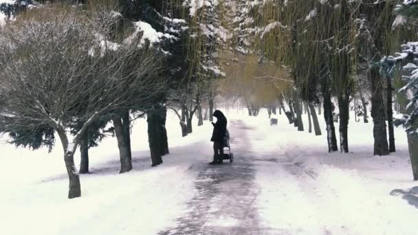 一个穿着黑色外套的女人在冬季公园里来回摇晃着一辆黑色婴儿车 — 图库视频影像