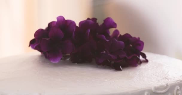 Pianta Viola Come Decorazione Una Torta Nuziale — Video Stock