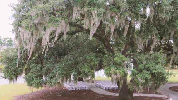 Una ceremonia de boda en la orilla del río bajo un hermoso árbol grande. Decoración para una ceremonia de boda en la orilla del río. cámara lenta 4k — Vídeos de Stock