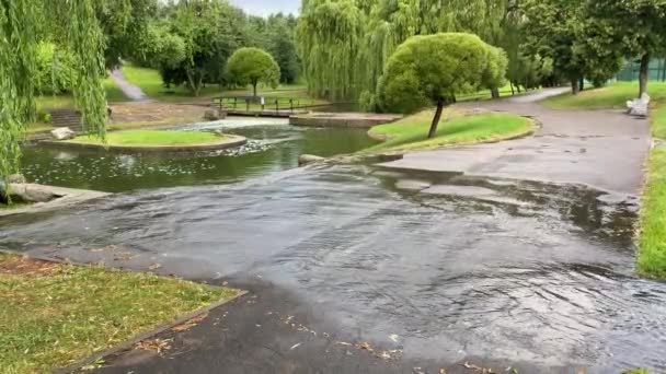 Vatten på grund av kraftigt regn översvämmade vägar i stadsparken. Höstens regnvatten faller, översvämmar gatan. Vägöversvämningar på grund av det kraftiga regnet under vått väder. Regndroppar som faller ner på väg 4k — Stockvideo