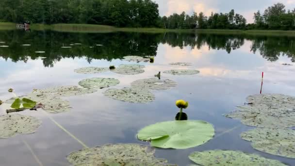 Близько до риболовлі плавають у воді. Рибальський стрижень на воді. Рибальський стрижень з річковою водою на фоні. Концепція рибного життя. Риболовля на озері. Очікування укусу великої риби 4k — стокове відео