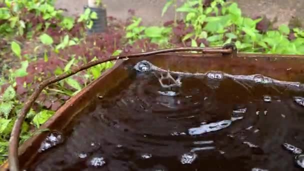 关上屋顶上的雨滴 滴落在一个旧的黑色生锈的塑料桶里 产生了飞溅和气泡 雨滴在大自然的背景下冲破水坑 农村生活农业4K — 图库视频影像