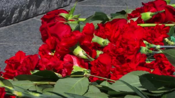 Pamětní Stěně Ležely Čerstvé Červené Květy Jmény Padlých Sovětských Vojáků — Stock video
