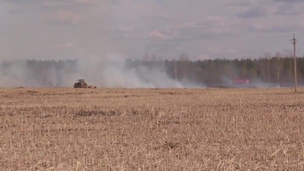 Piros Modern Traktor Fordított Ekével Szántja Mezőt Egy Farmer Egy — Stock videók