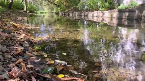 Höstscenen Fallna Löv Floden Himmeln Och Träden Reflekteras Vattnet Vattenkaskad — Stockvideo