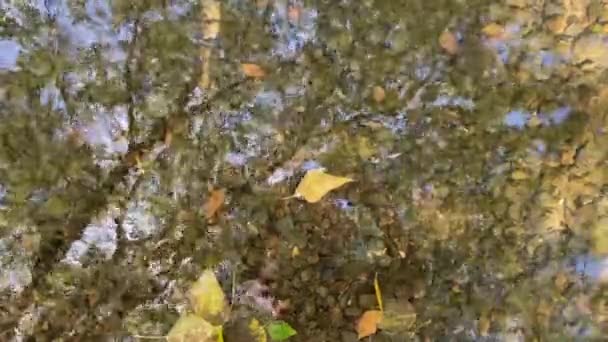 美丽的秋天风景 五彩缤纷的秋天树叶躺在水里 季节性的概念 秋天溪流中的瀑布 落叶密闭 水从4K河中的石头周围流过 — 图库视频影像