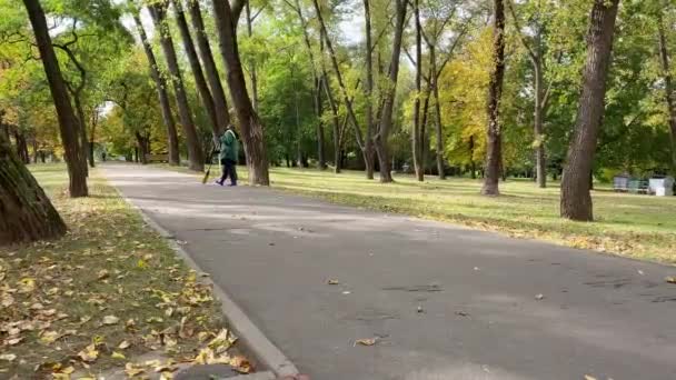 Vrouw Die Droge Bladeren Schoonmaakt Loopbrug Een Straatverbeteraar Verwijdert Bezemblaadjes — Stockvideo